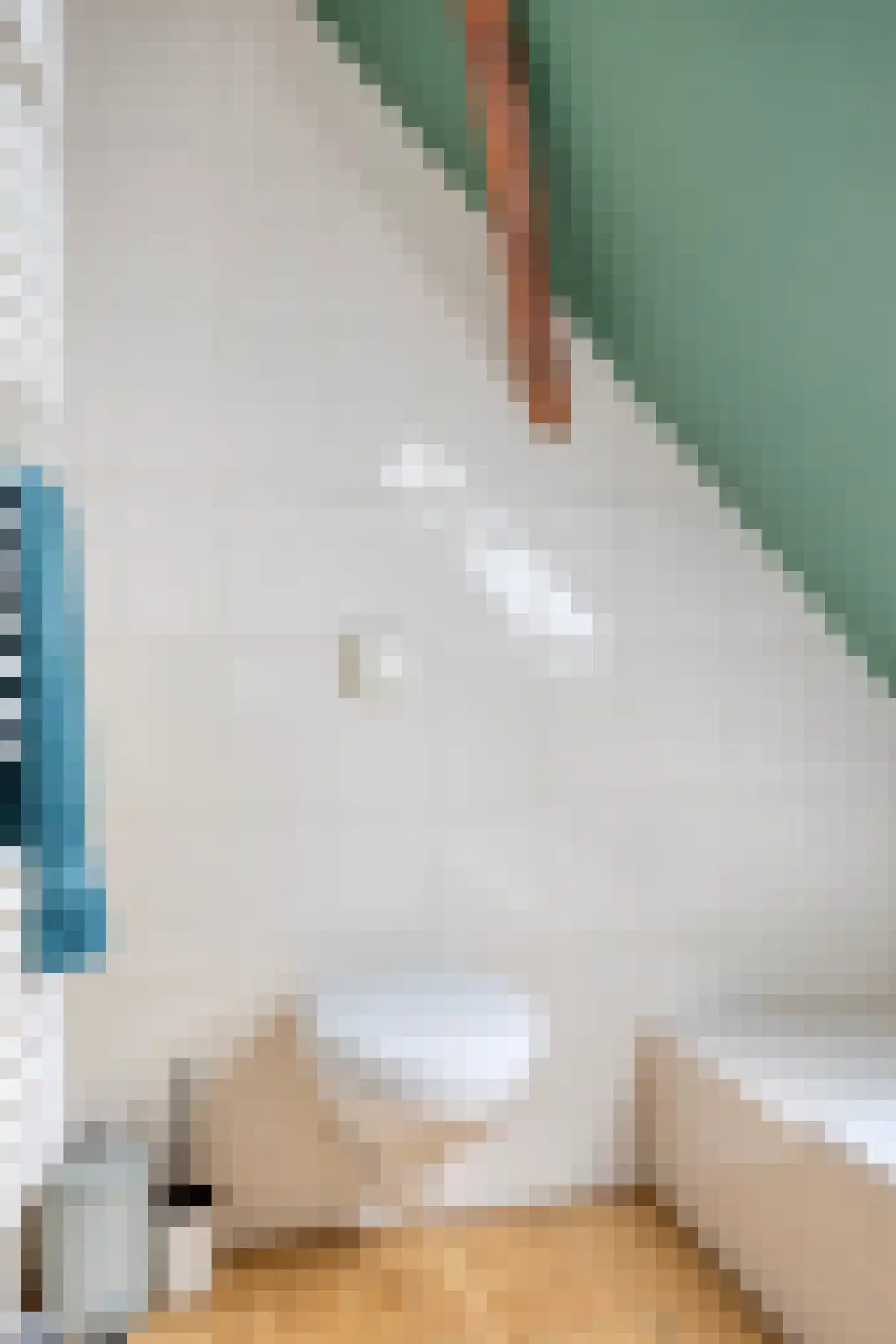 Het Loeg 21 Muntendam thumbnail 40
