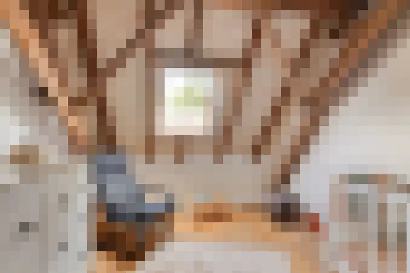 Het Loeg 21 Muntendam thumbnail 43