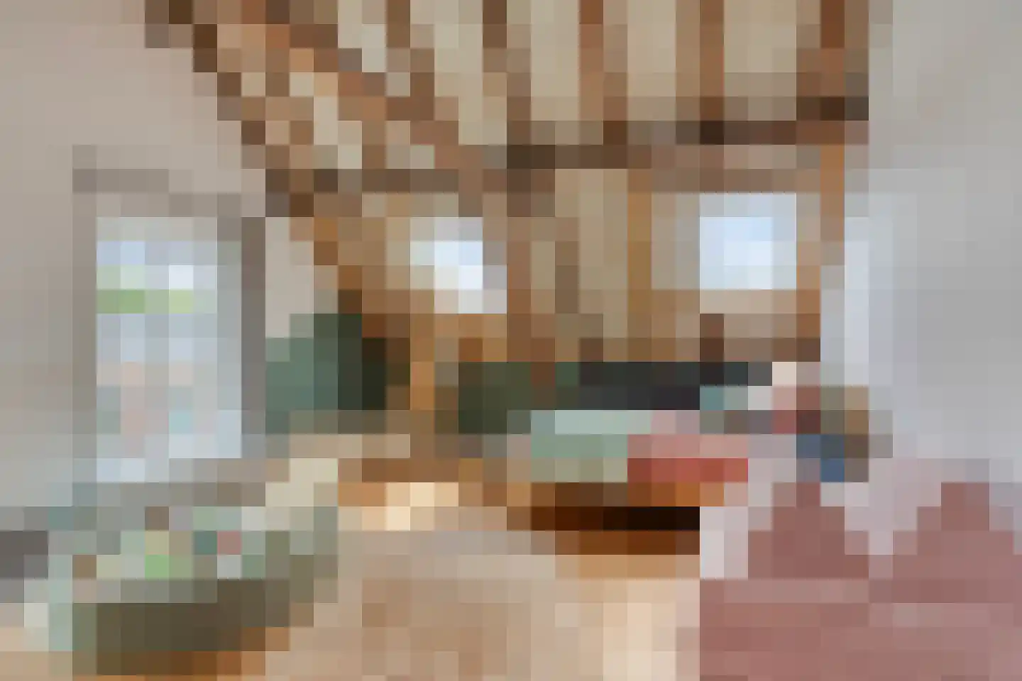 Het Loeg 21 Muntendam thumbnail 46