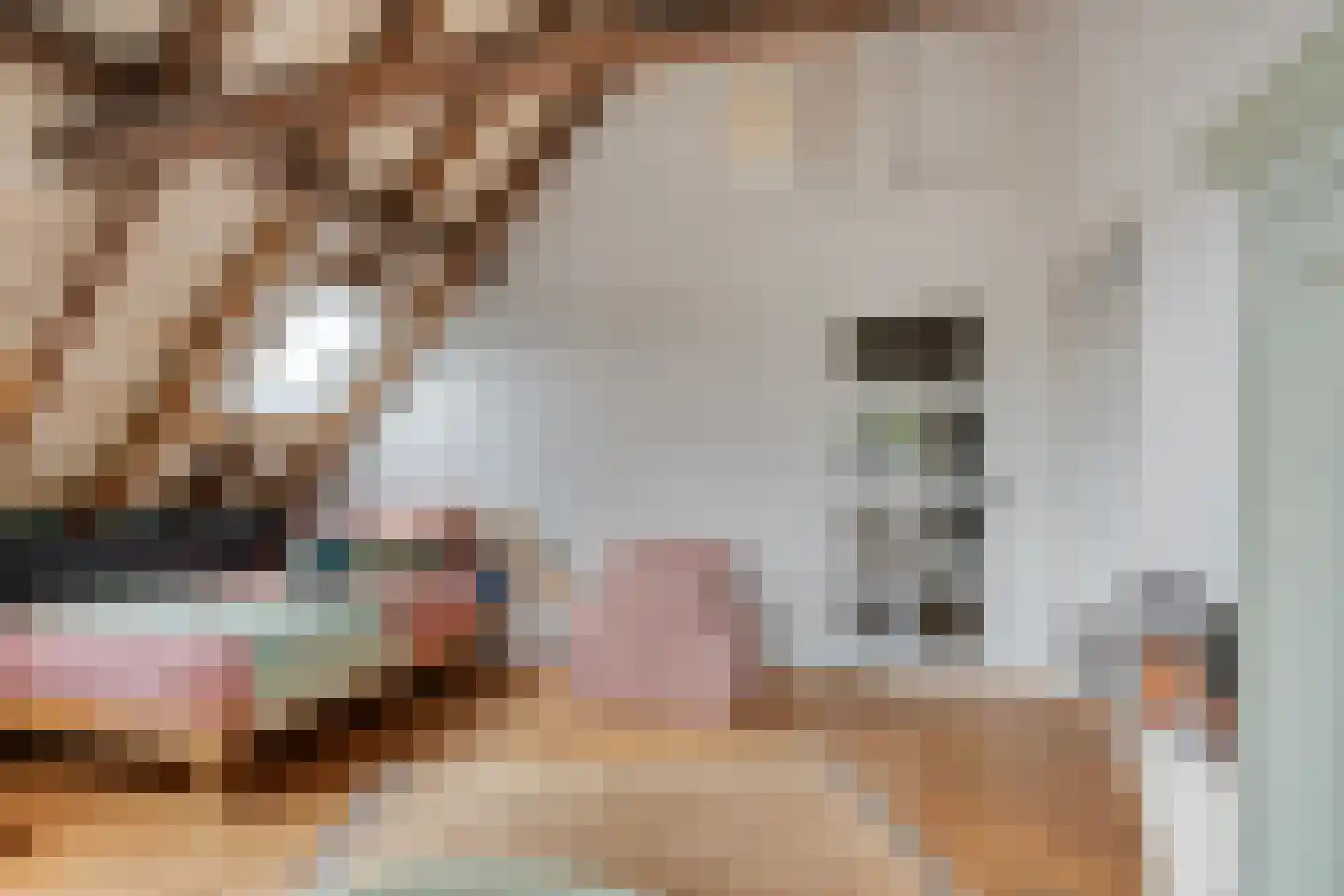 Het Loeg 21 Muntendam thumbnail 47