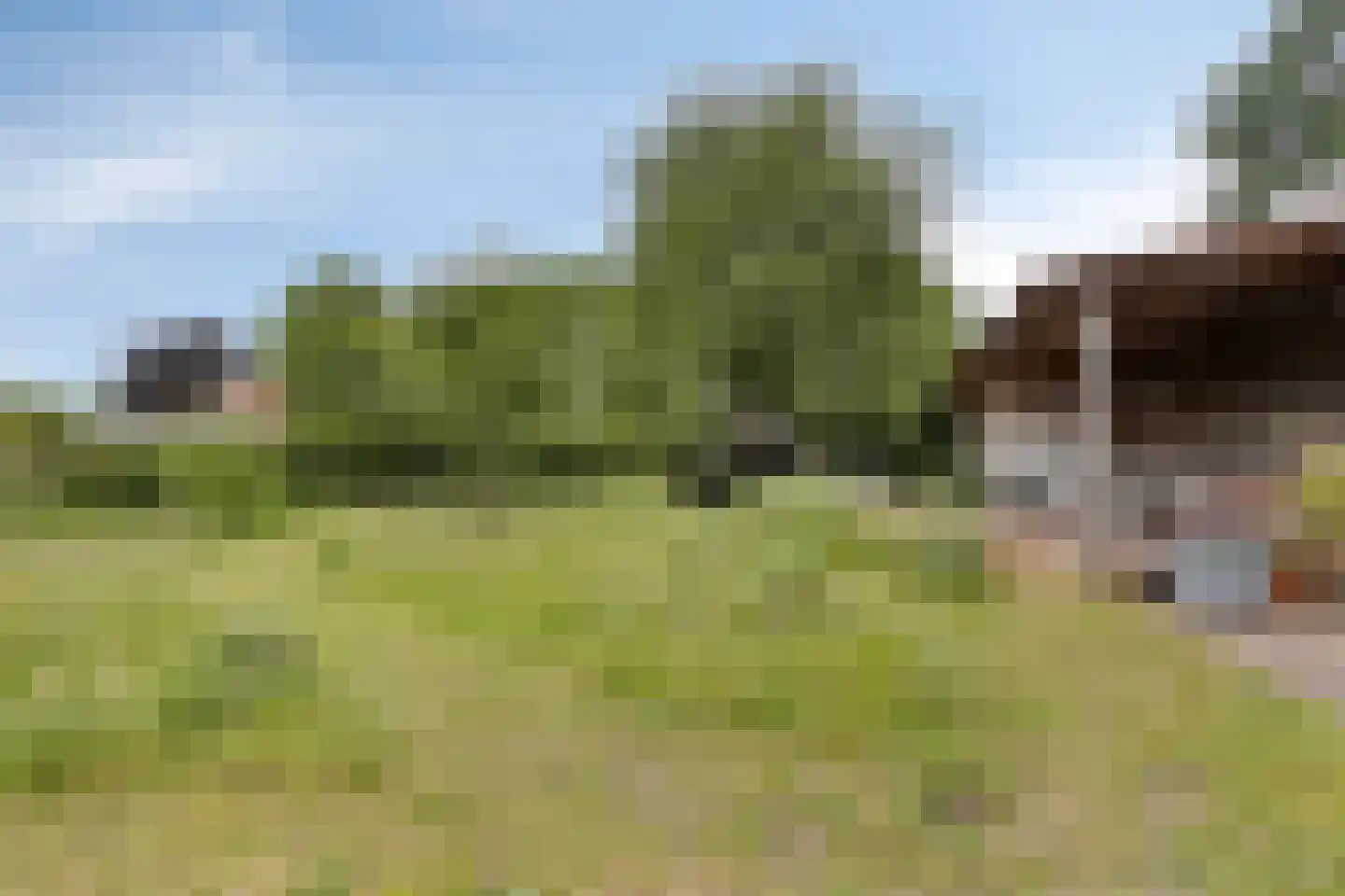 Het Loeg 21 Muntendam thumbnail 53