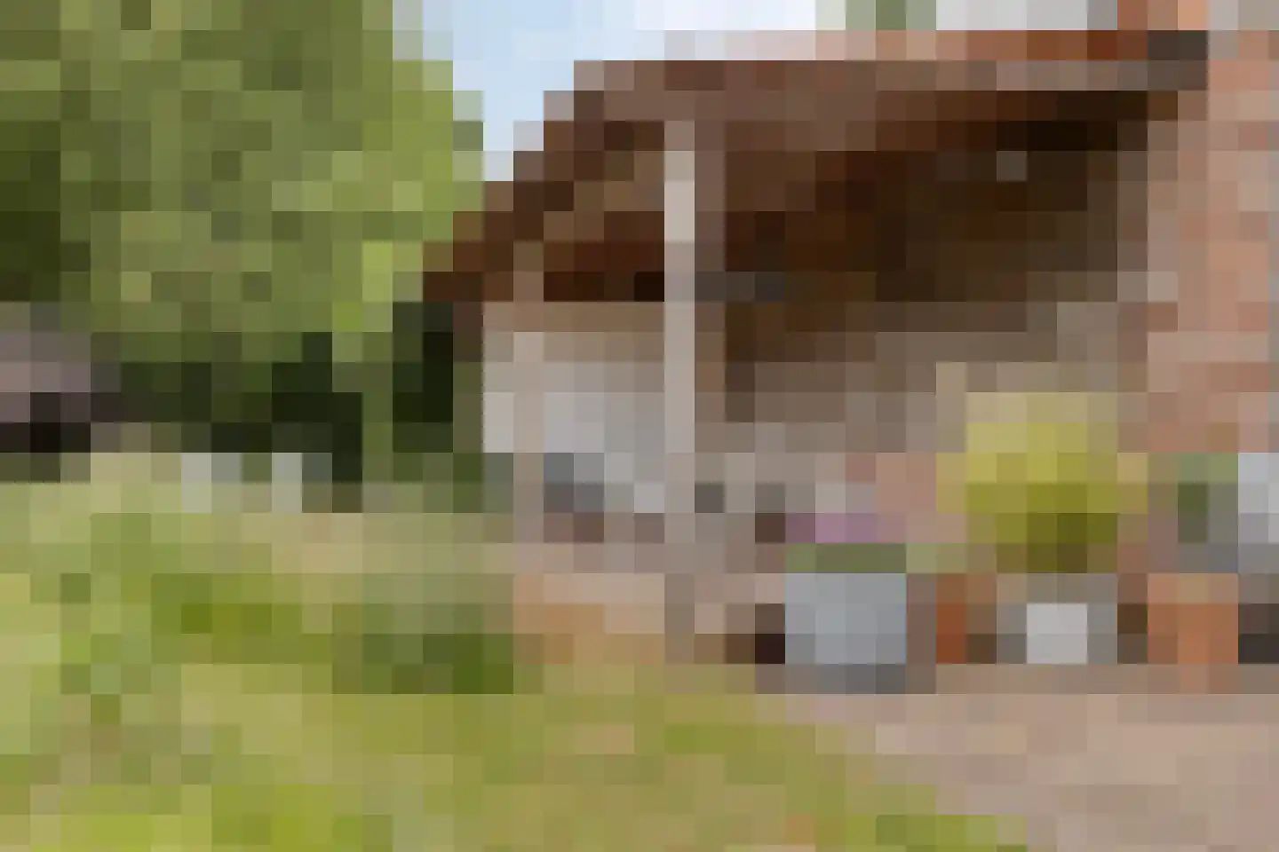 Het Loeg 21 Muntendam thumbnail 54