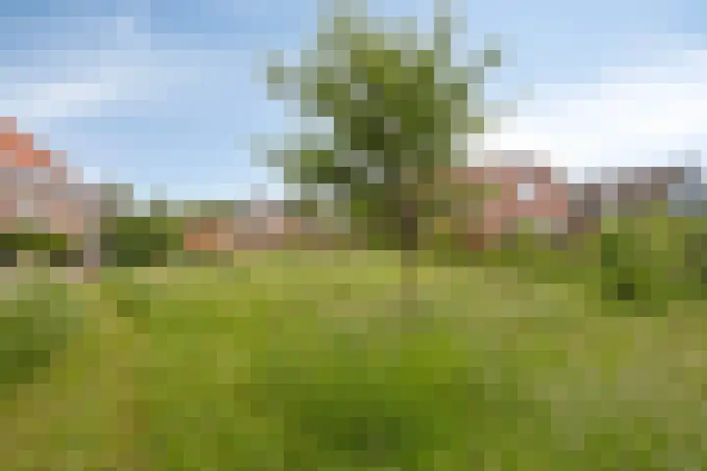 Het Loeg 21 Muntendam thumbnail 57