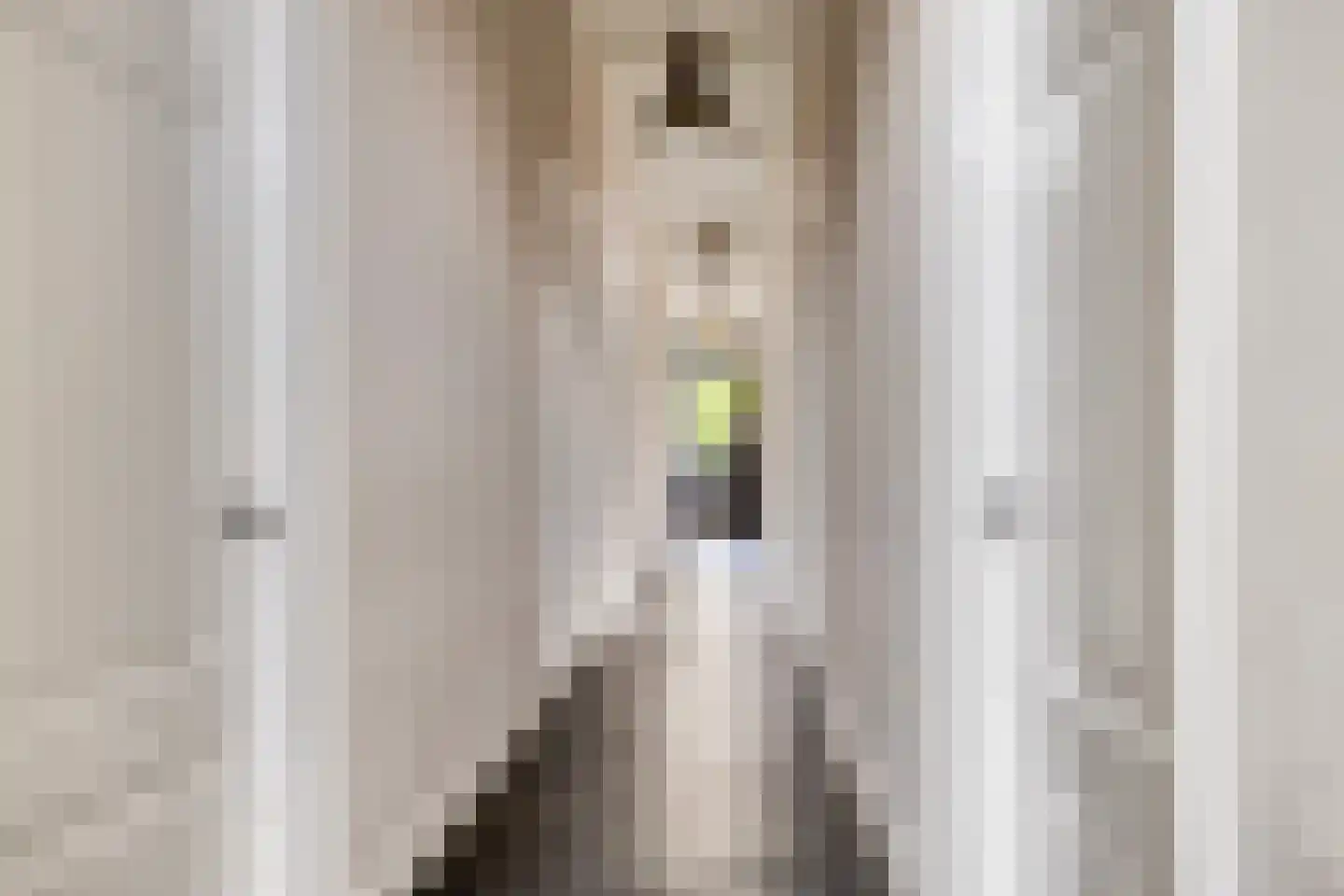 Het Loeg 21 Muntendam thumbnail 6