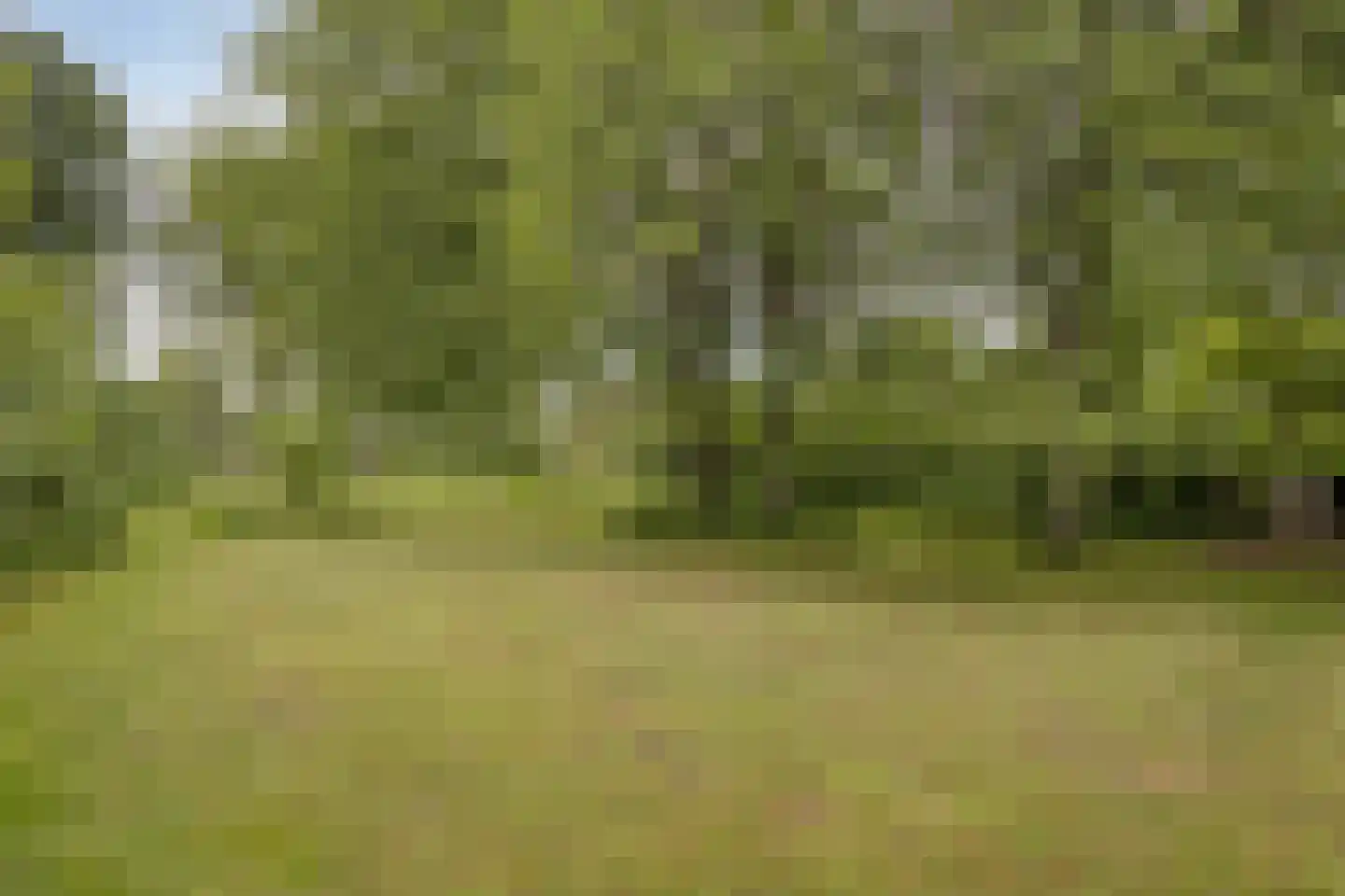 Het Loeg 21 Muntendam thumbnail 60