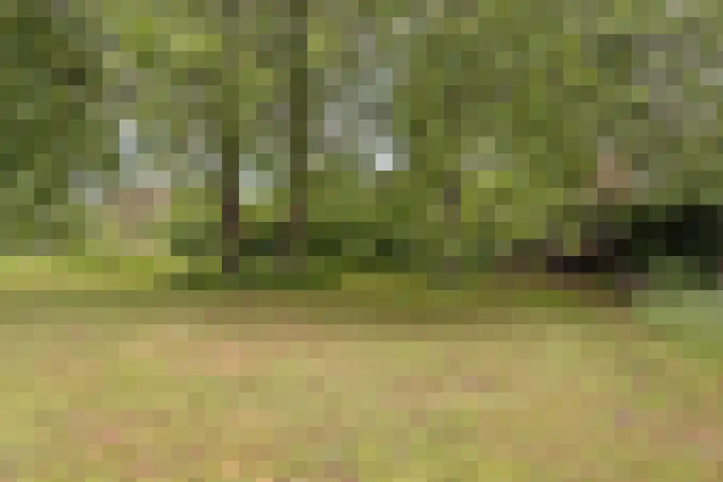 Het Loeg 21 Muntendam thumbnail 61