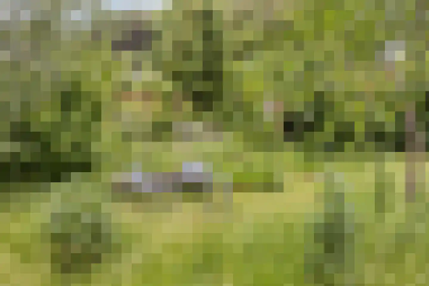 Het Loeg 21 Muntendam thumbnail 62