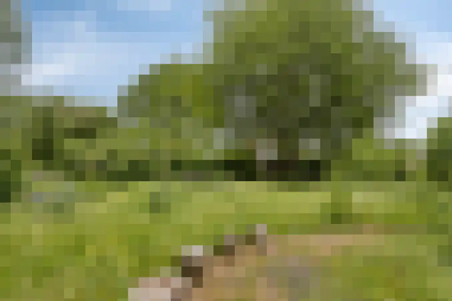 Het Loeg 21 Muntendam thumbnail 63