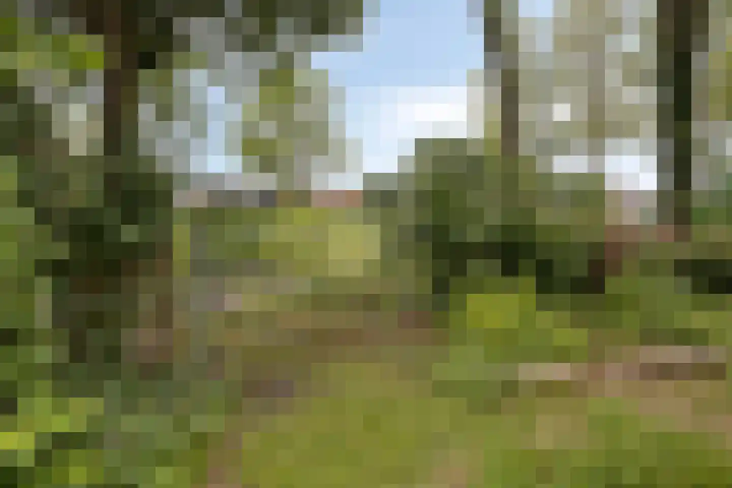 Het Loeg 21 Muntendam thumbnail 64
