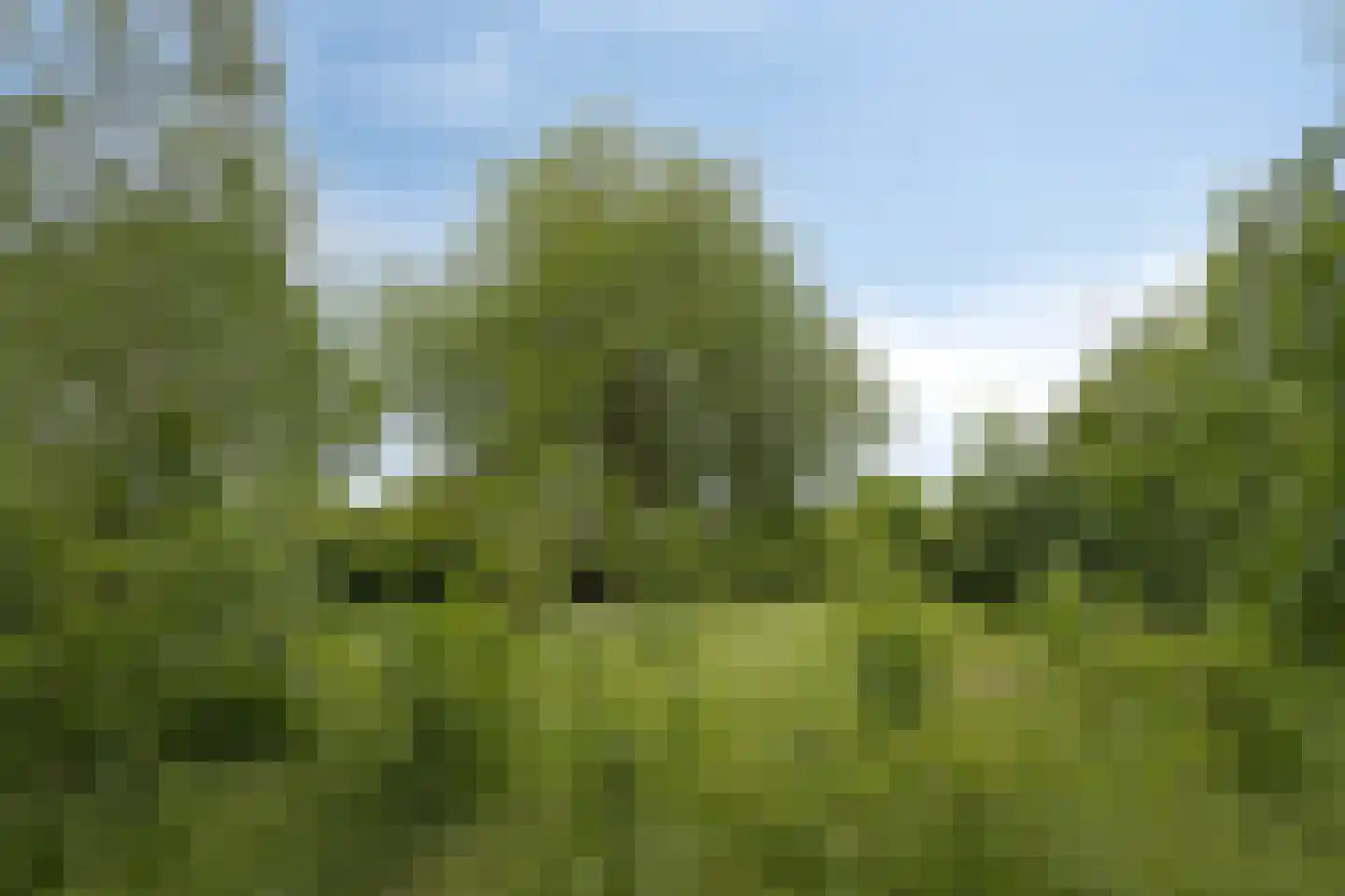 Het Loeg 21 Muntendam thumbnail 65
