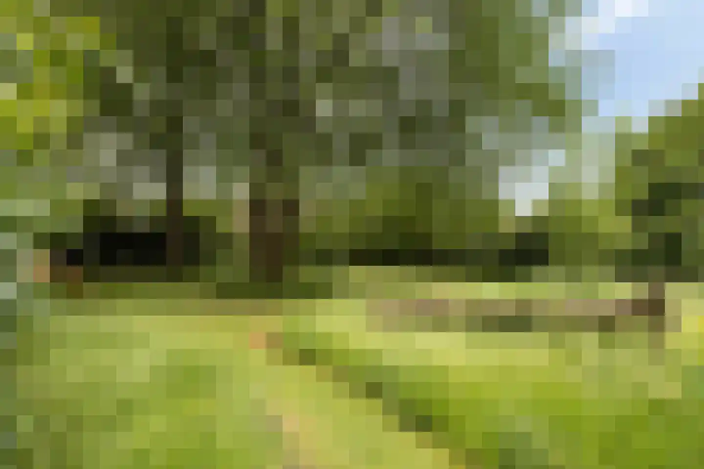 Het Loeg 21 Muntendam thumbnail 66