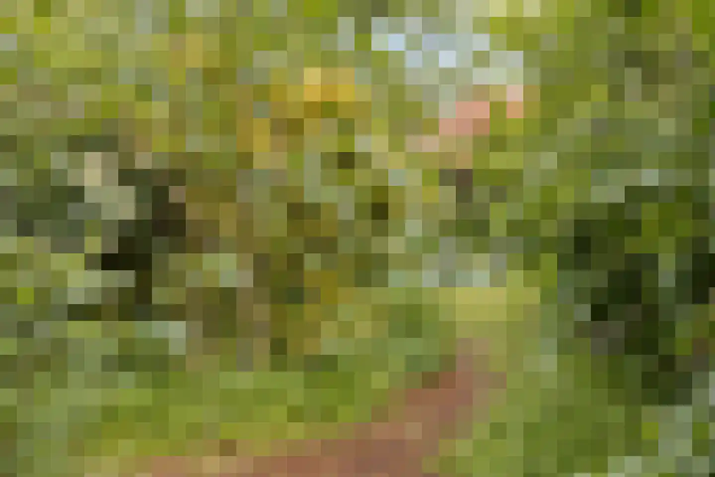 Het Loeg 21 Muntendam thumbnail 67