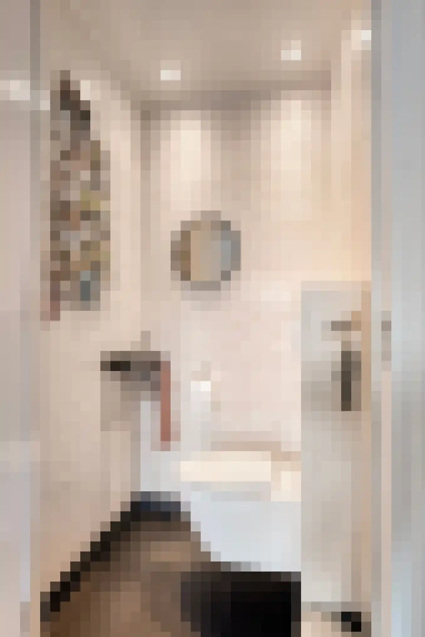 Het Loeg 21 Muntendam thumbnail 7