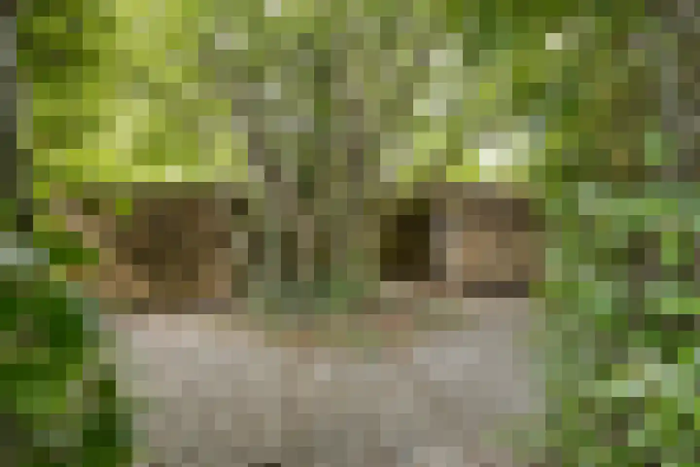 Het Loeg 21 Muntendam thumbnail 70