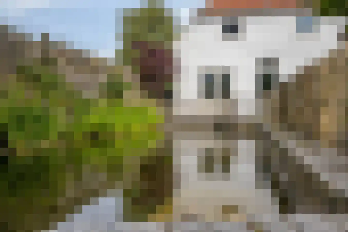 Het Loeg 21 Muntendam thumbnail 74
