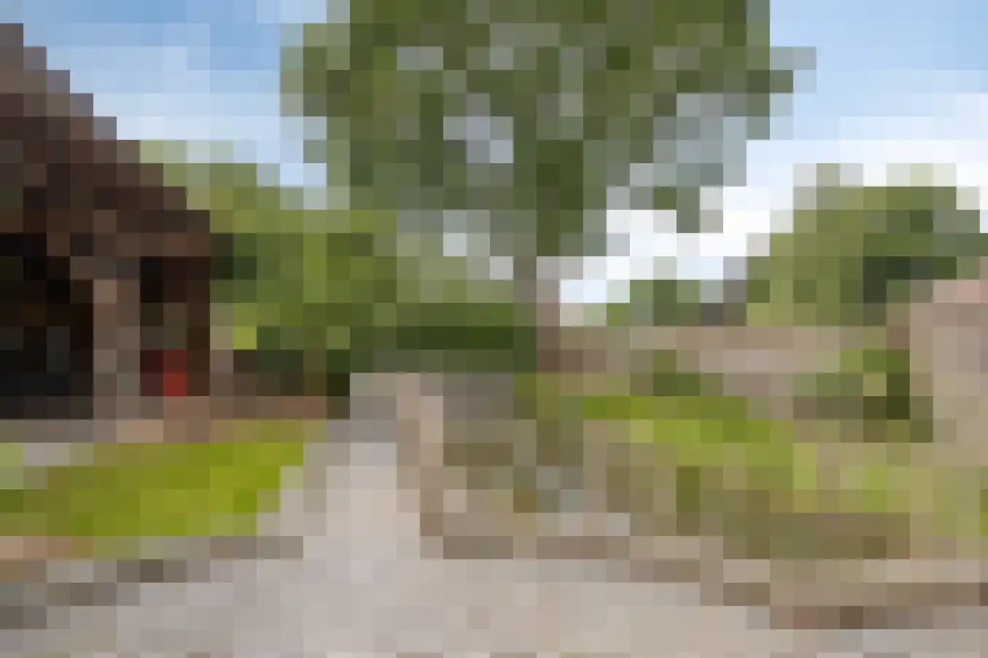 Het Loeg 21 Muntendam thumbnail 76
