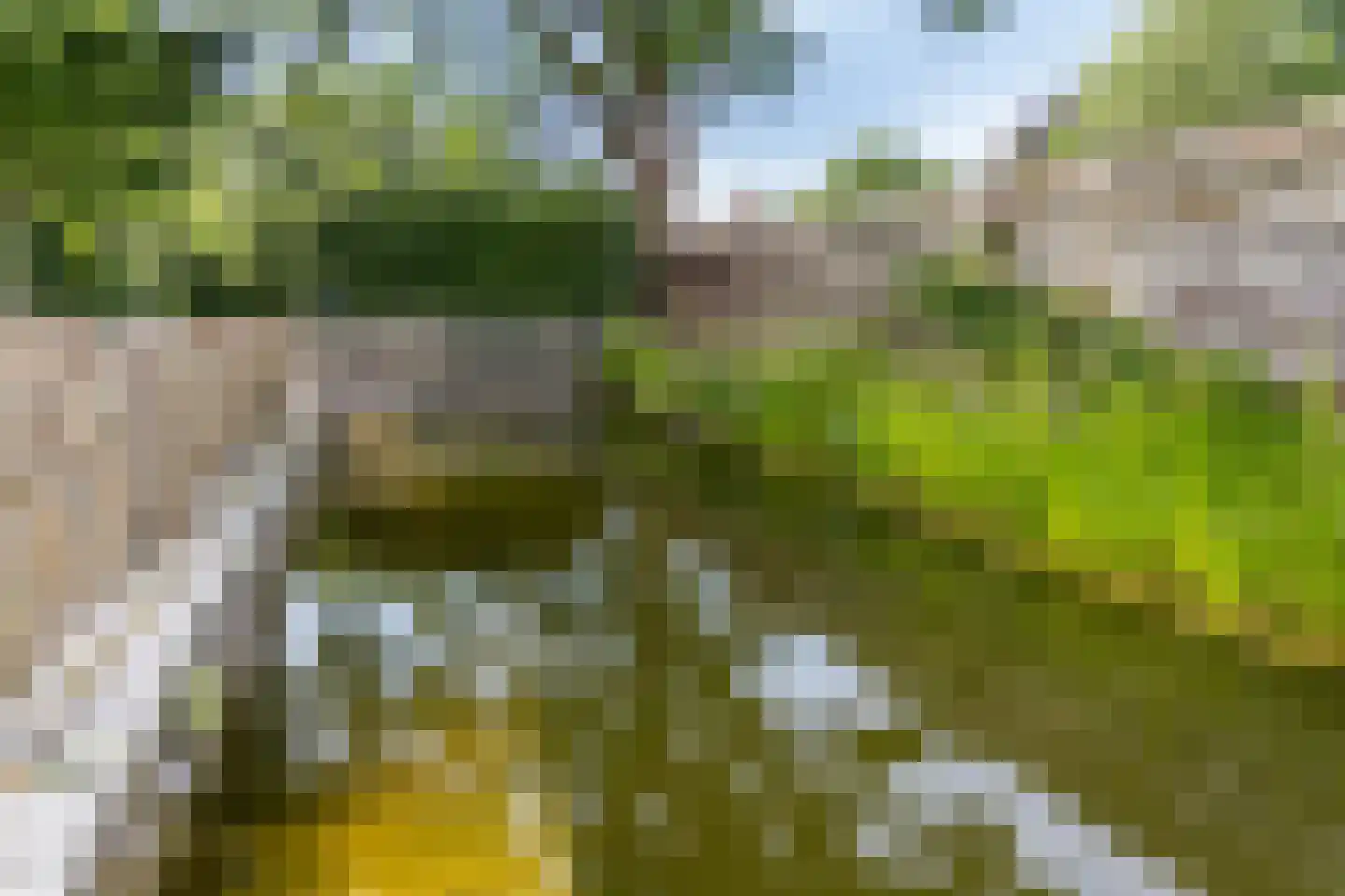 Het Loeg 21 Muntendam thumbnail 78