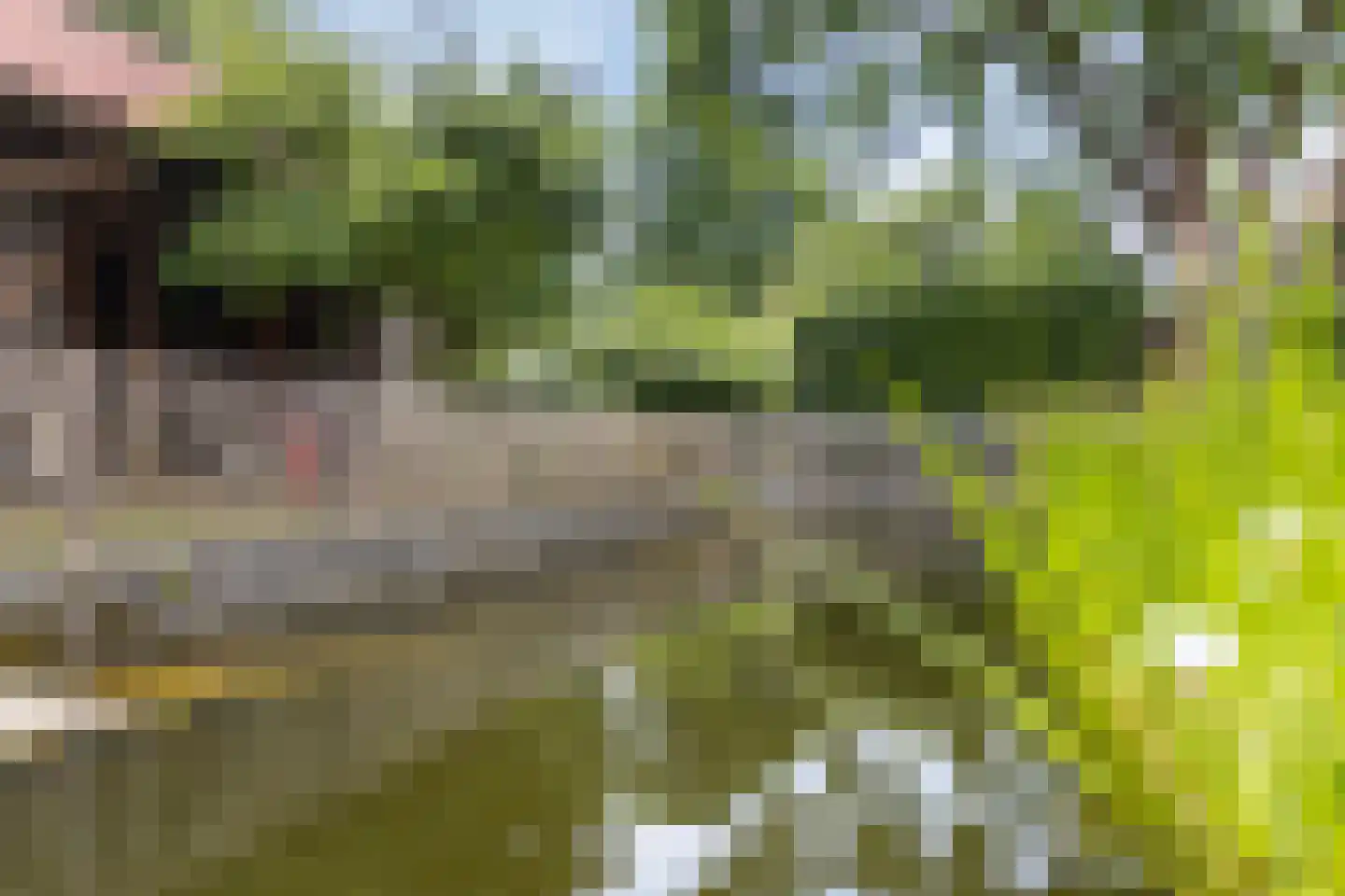 Het Loeg 21 Muntendam thumbnail 79