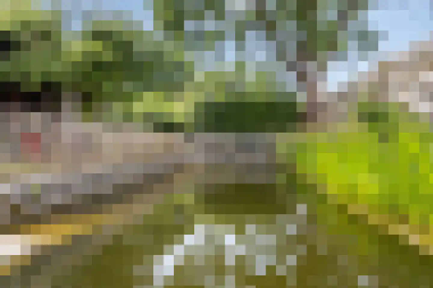 Het Loeg 21 Muntendam thumbnail 80