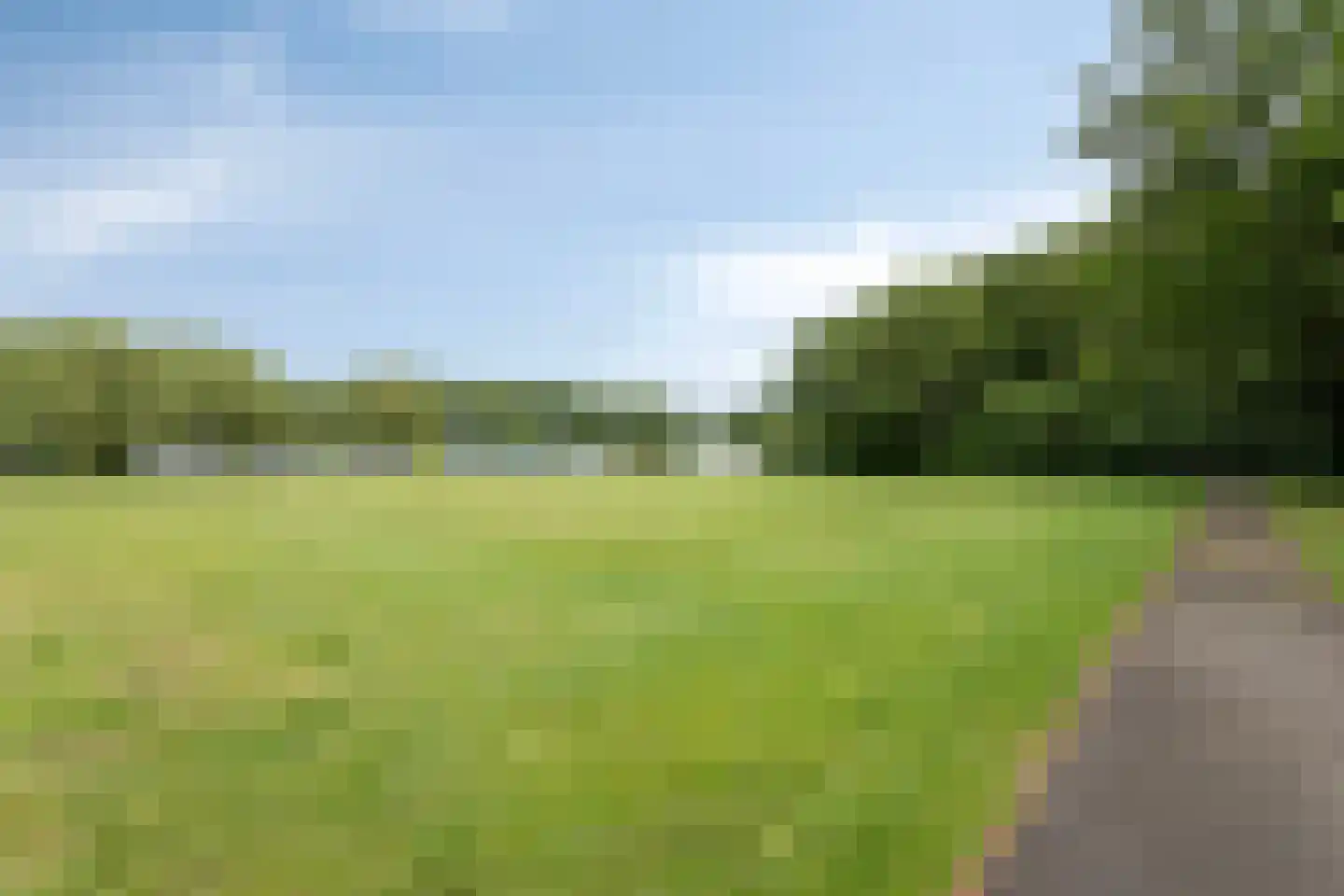 Het Loeg 21 Muntendam thumbnail 82