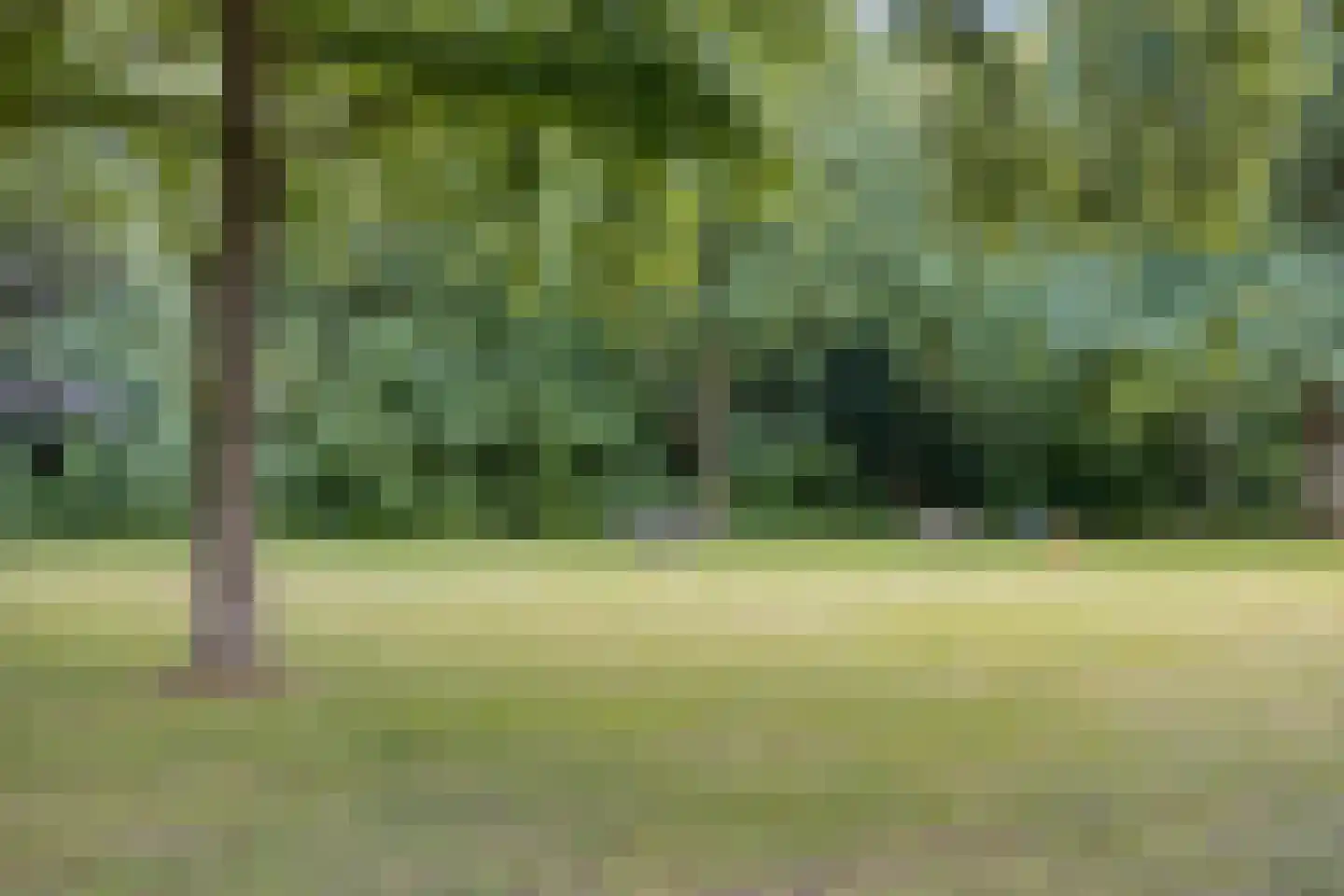 Het Loeg 21 Muntendam thumbnail 83