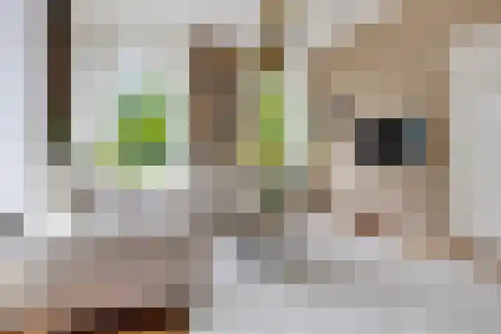 Het Loeg 35 Muntendam thumbnail 10