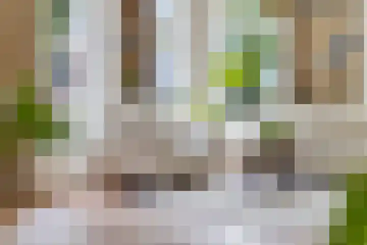 Het Loeg 35 Muntendam thumbnail 11