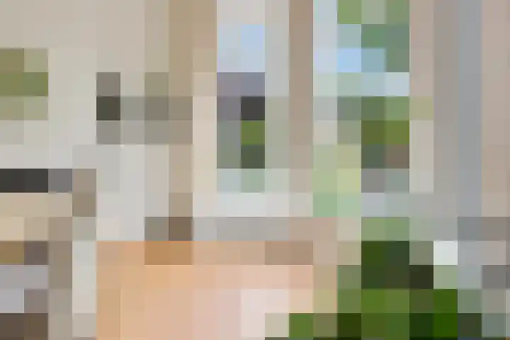 Het Loeg 35 Muntendam thumbnail 14