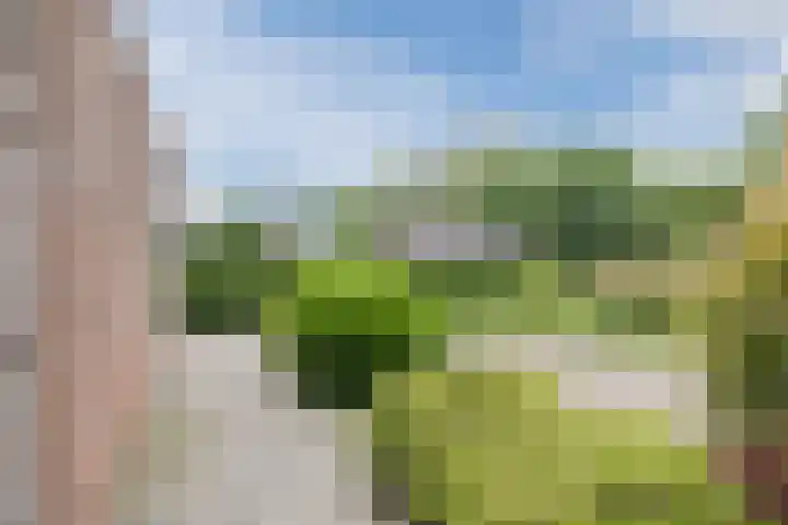 Het Loeg 35 Muntendam thumbnail 24