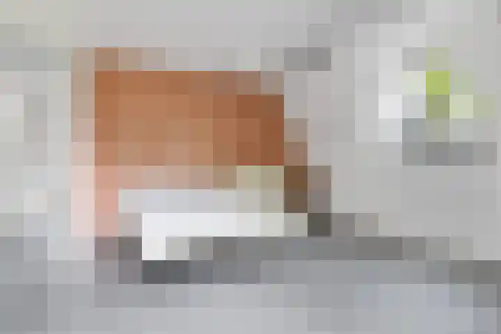 Het Loeg 35 Muntendam thumbnail 29