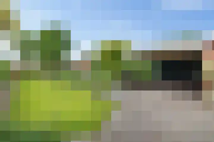 Het Loeg 35 Muntendam thumbnail 37
