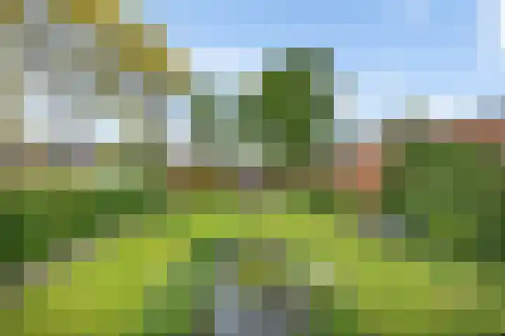 Het Loeg 35 Muntendam thumbnail 39