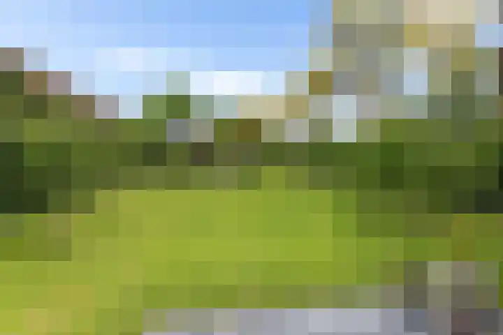 Het Loeg 35 Muntendam thumbnail 41