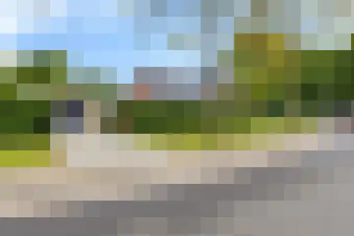 Het Loeg 35 Muntendam thumbnail 44