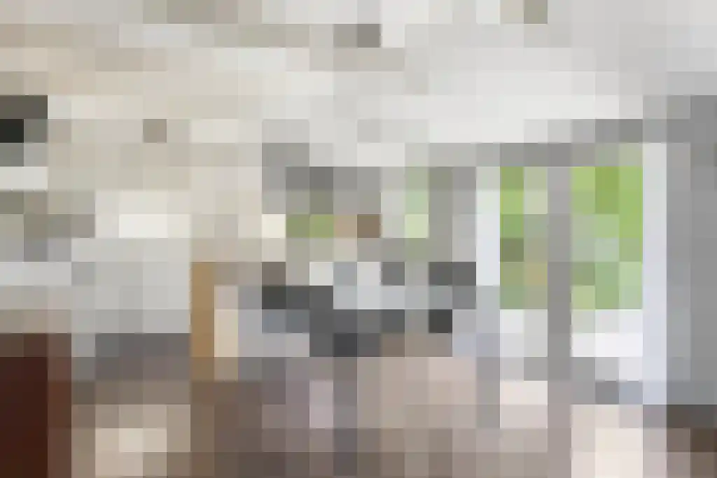 Het Loeg 39 Muntendam thumbnail 21