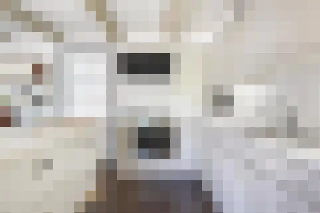 Het Loeg 39 Muntendam thumbnail 24