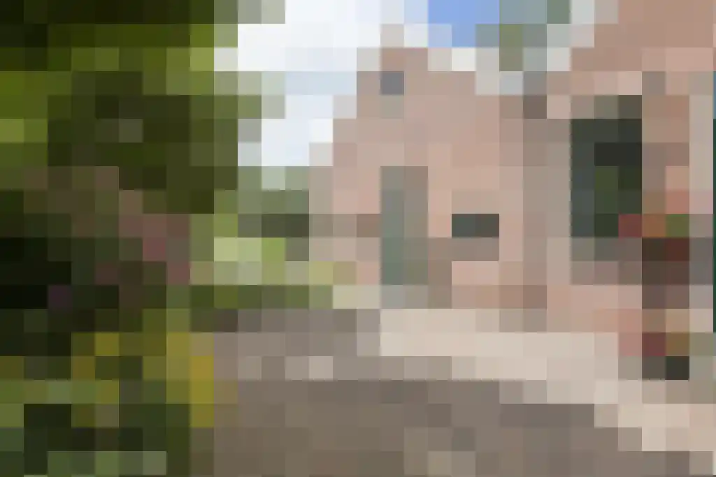Het Loeg 39 Muntendam thumbnail 44