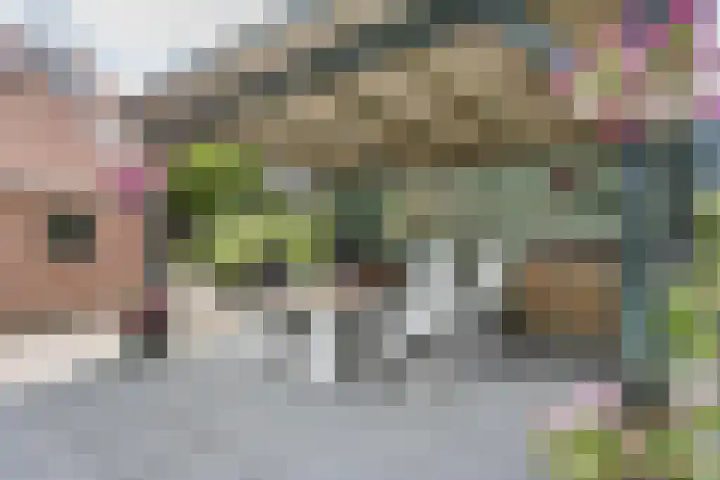 Het Loeg 39 Muntendam thumbnail 46