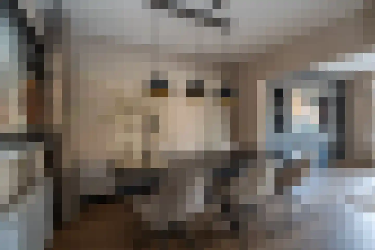 Het Loeg 40 Muntendam foto 3