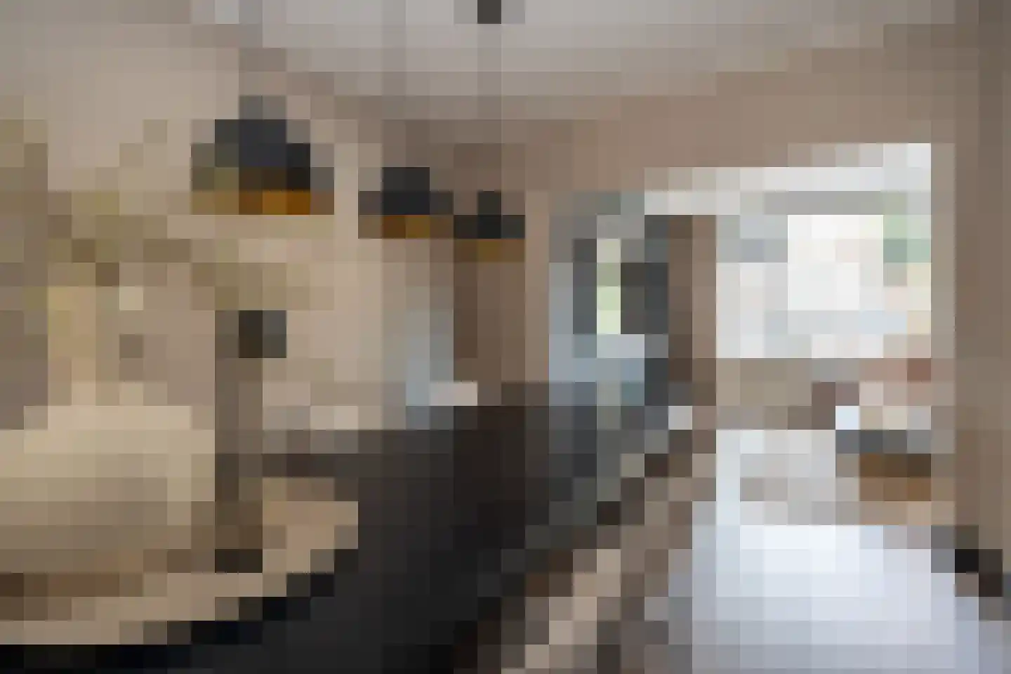 Het Loeg 40 Muntendam thumbnail 4