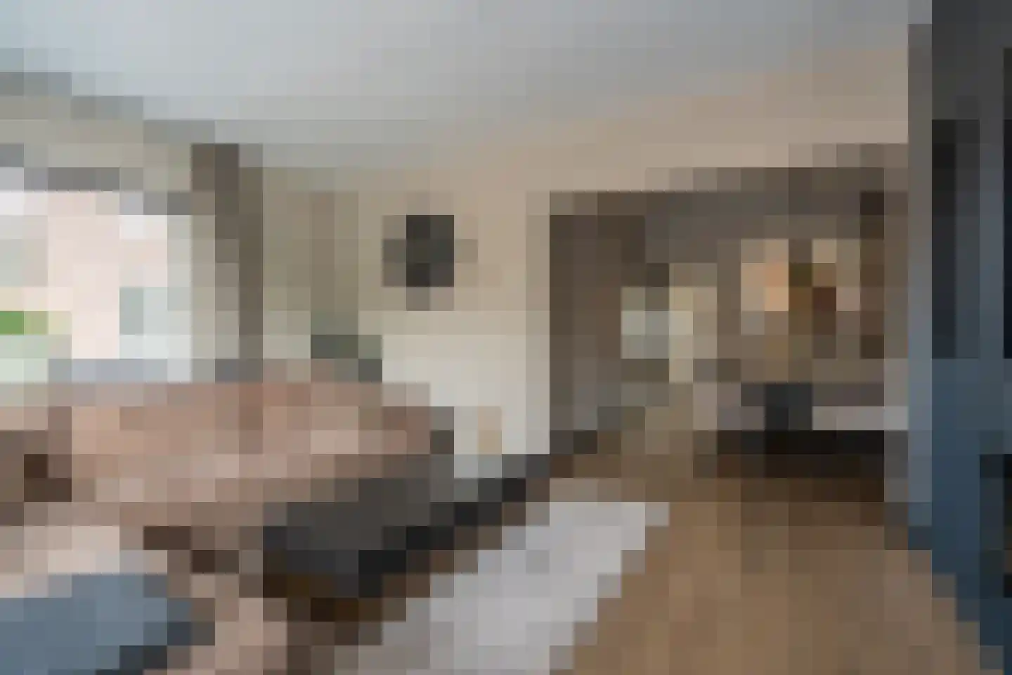 Het Loeg 40 Muntendam thumbnail 7