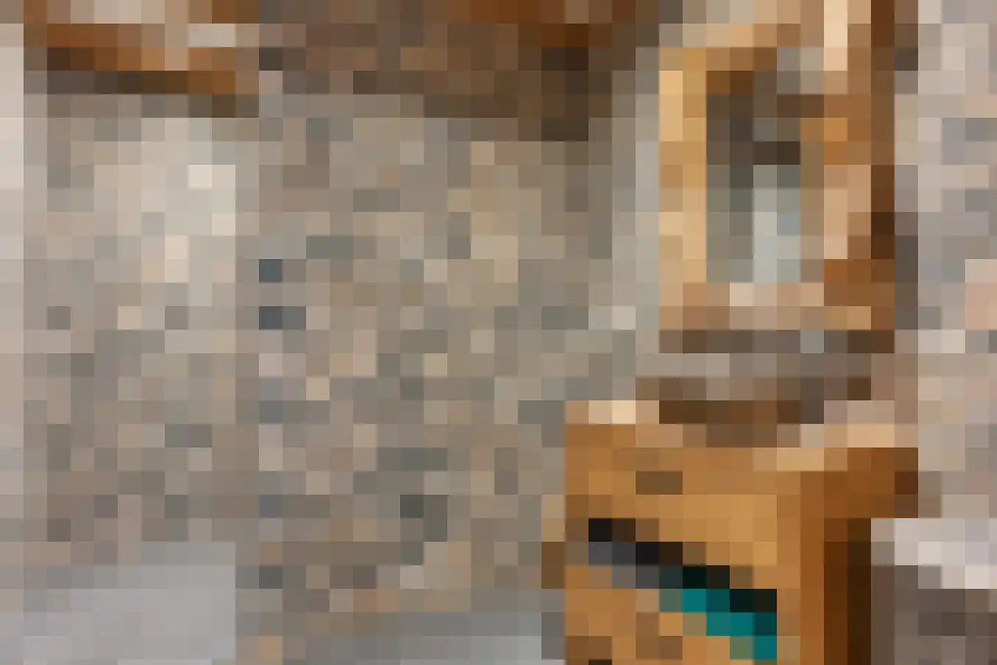 Het Loeg 41 Muntendam thumbnail 19