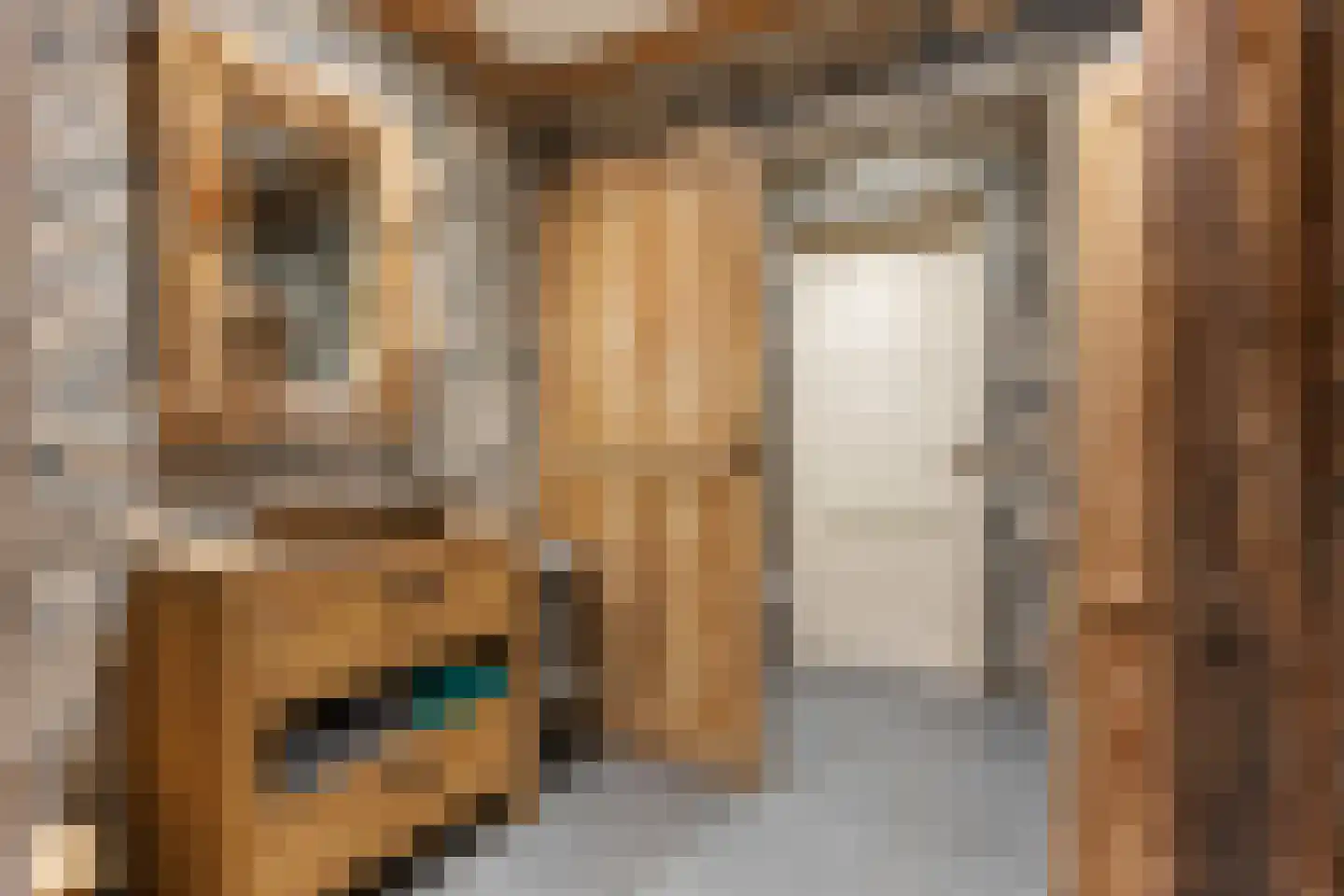 Het Loeg 41 Muntendam thumbnail 20