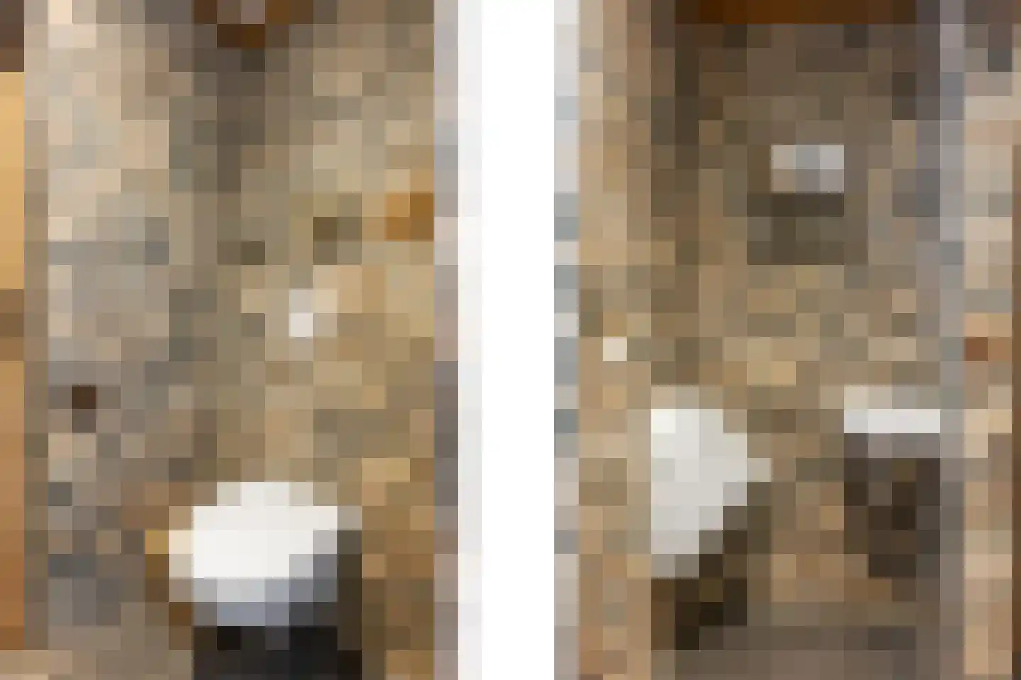 Het Loeg 41 Muntendam thumbnail 21