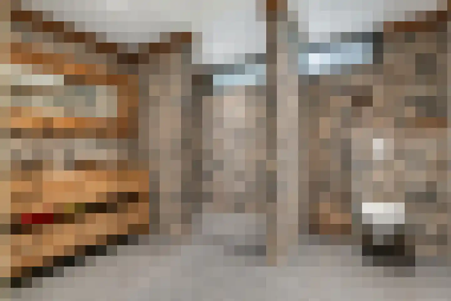 Het Loeg 41 Muntendam thumbnail 27