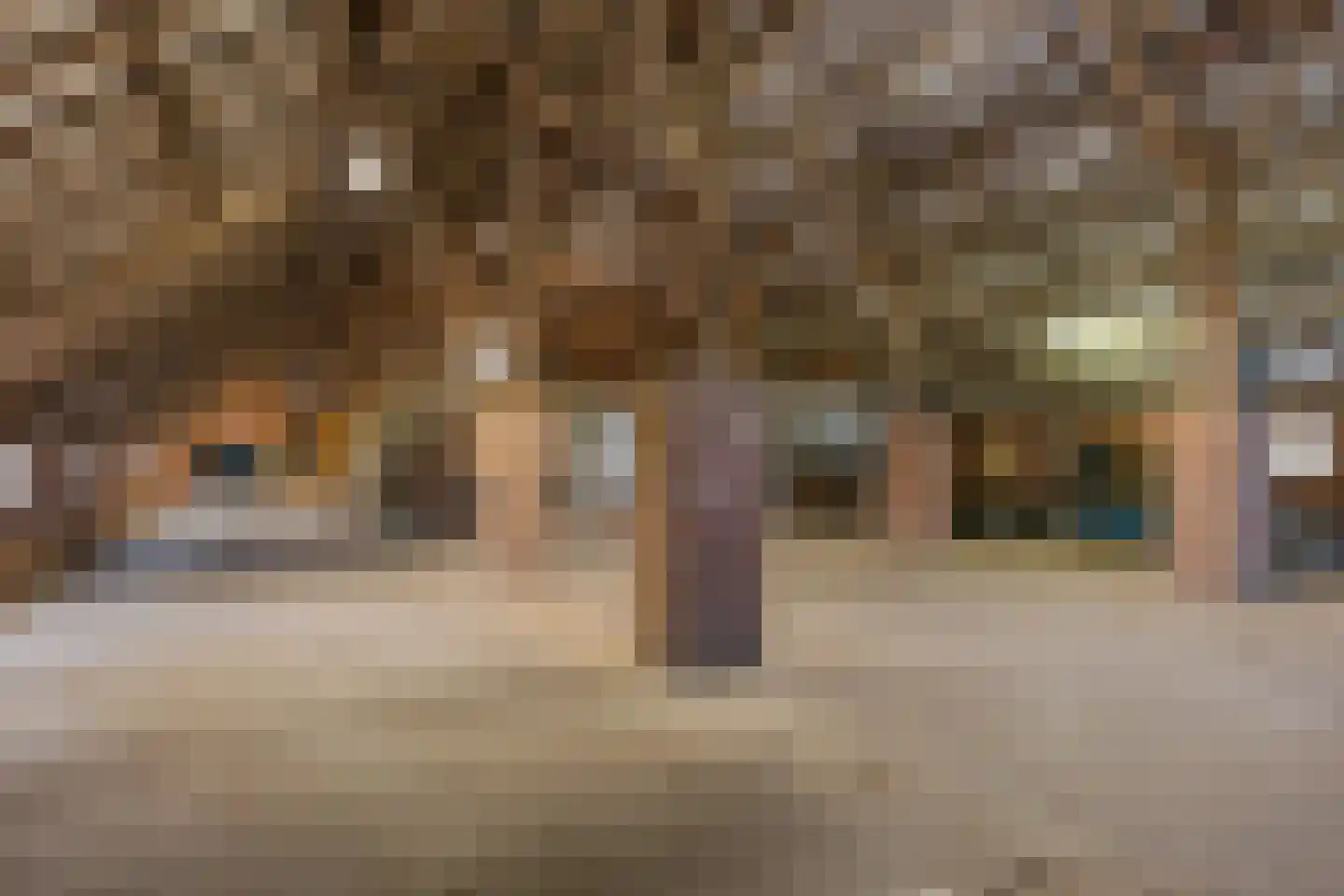 Het Loeg 41 Muntendam thumbnail 32