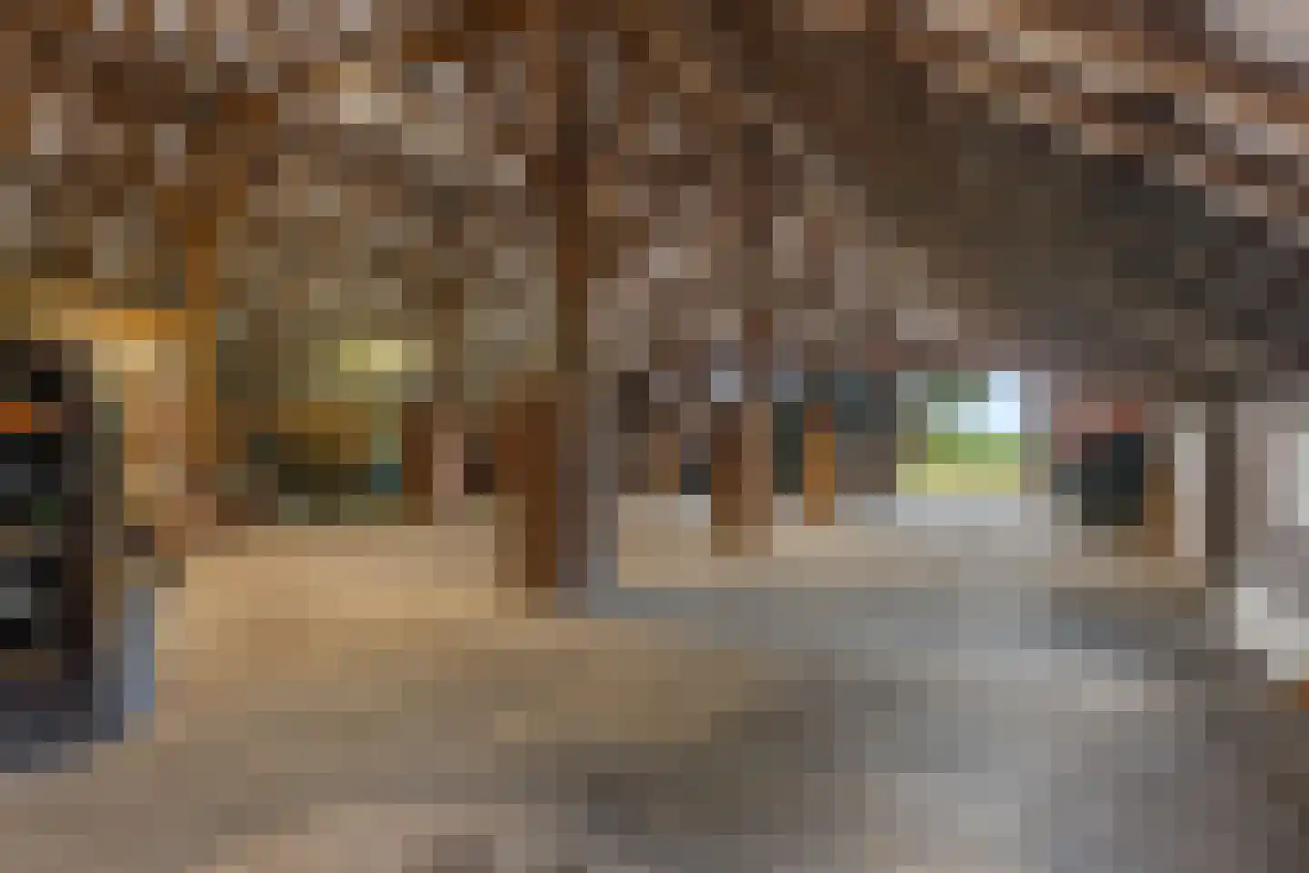 Het Loeg 41 Muntendam thumbnail 33