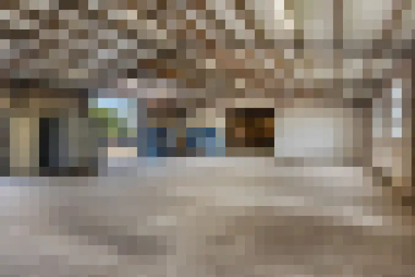 Het Loeg 41 Muntendam thumbnail 49