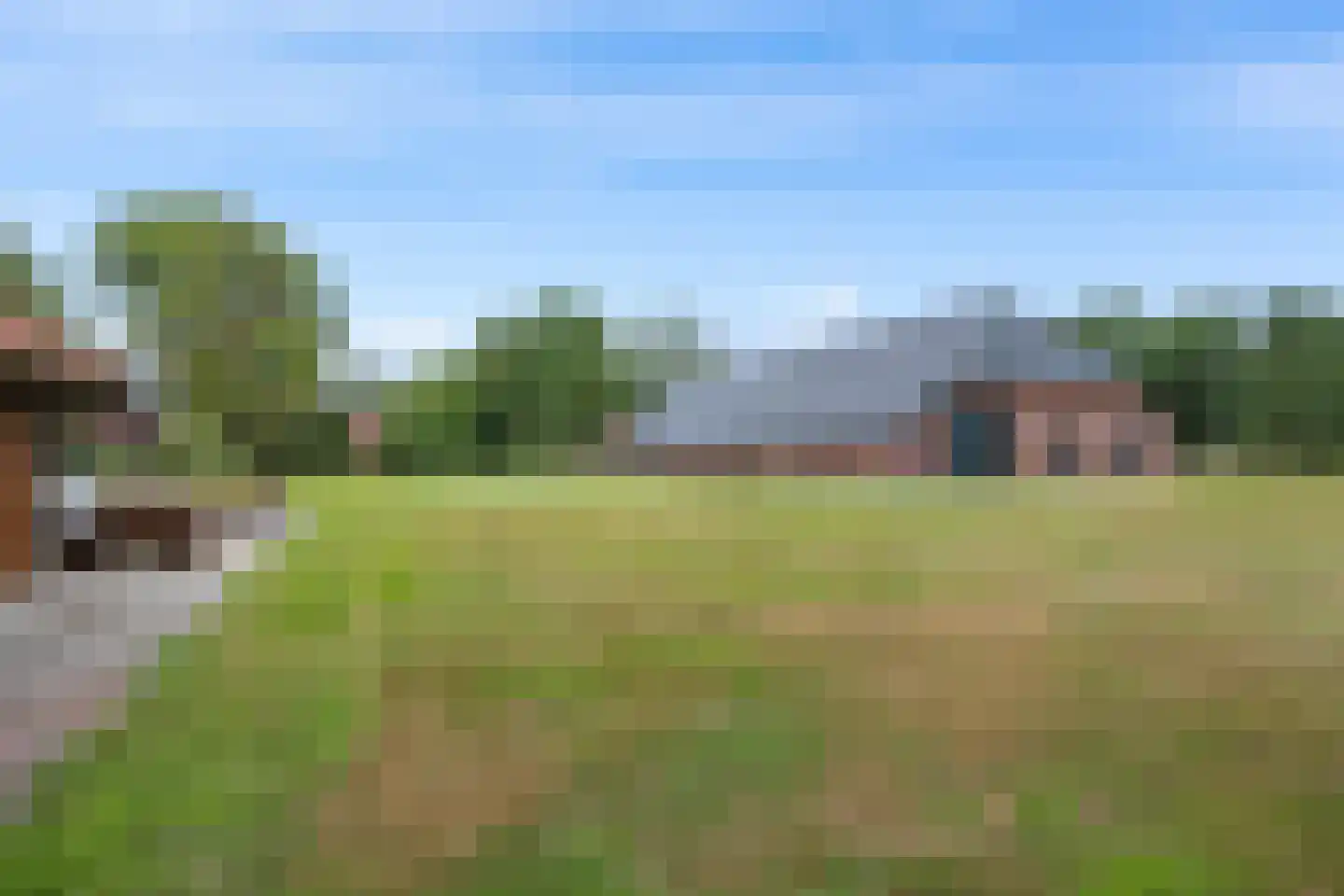Het Loeg 41 Muntendam thumbnail 57