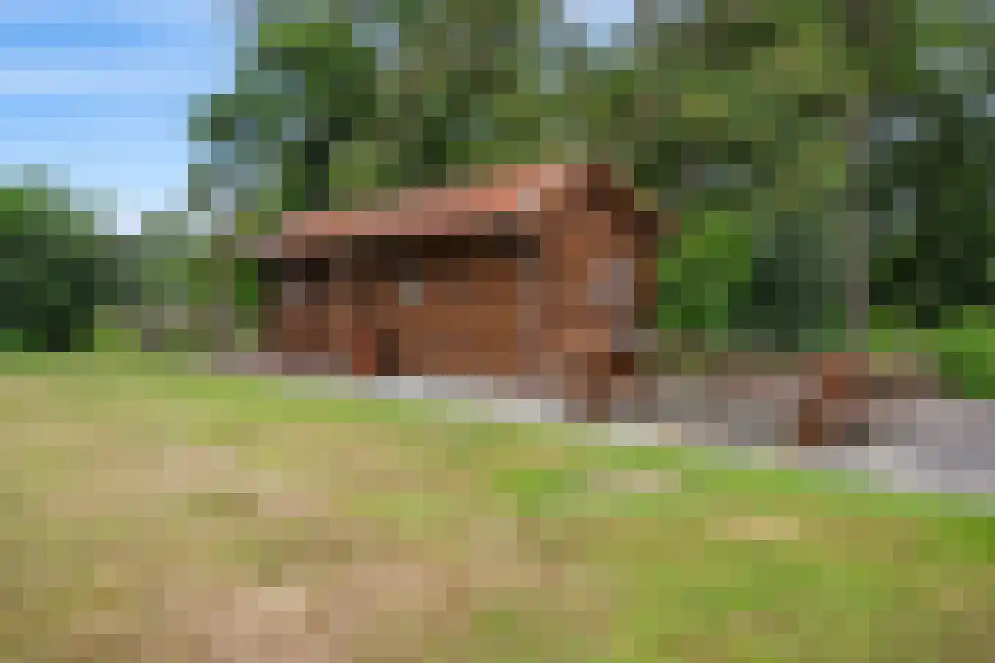 Het Loeg 41 Muntendam thumbnail 58